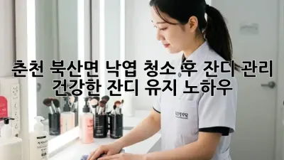 춘천 북산면 낙엽 청소 후 잔디 관리, 건강한 잔디 유지 노하우