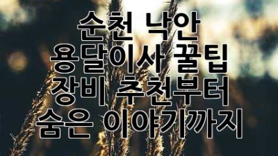 순천 낙안 용달이사 꿀팁🍯 장비 추천부터 숨은 이야기까지!